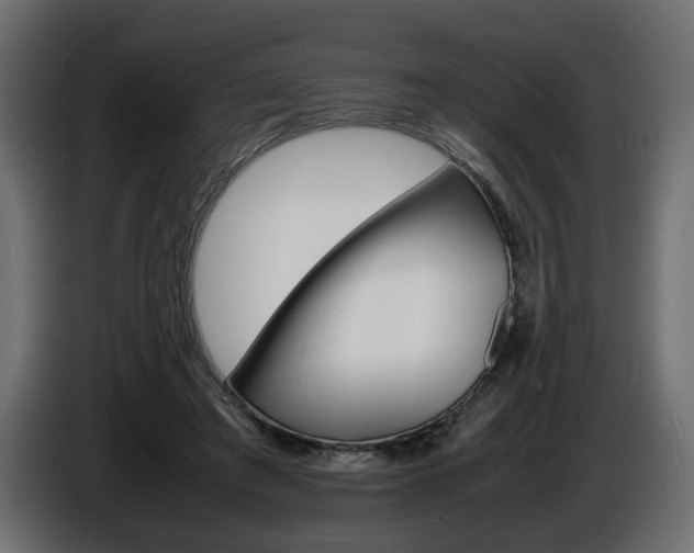 X0000086910401200704161014