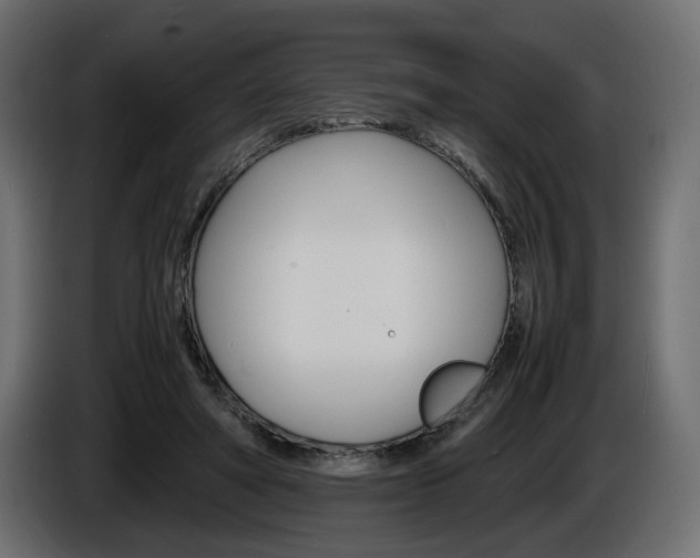 X0000086910402200704161014