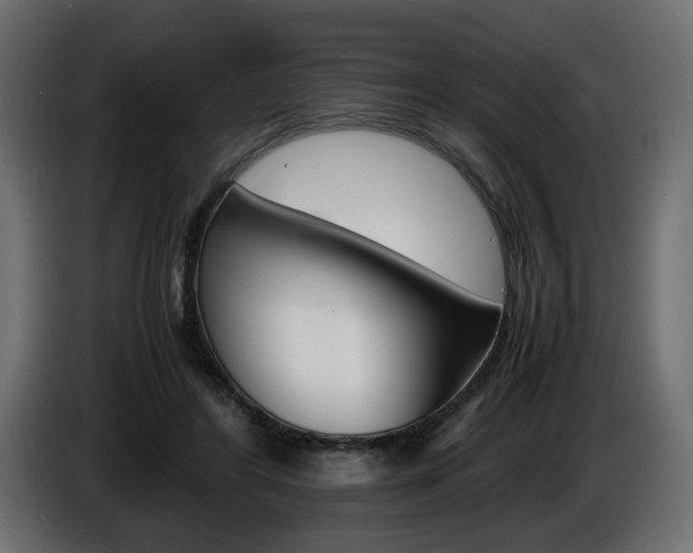 X0000086910404200704161014