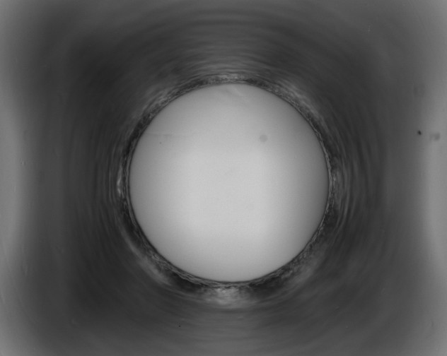 X0000086910406200704161014