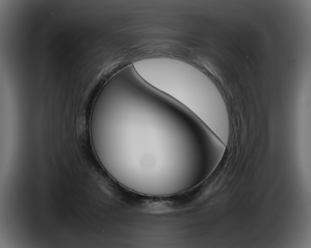 X0000086910407200704161014