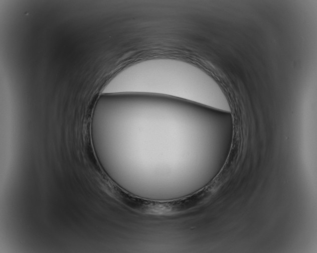X0000086910409200704161014