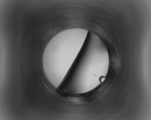 X0000086910412200704161013