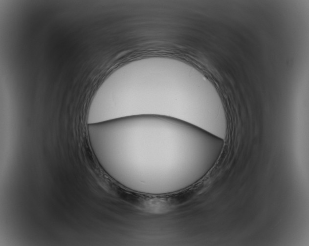 X0000086910413200704161013