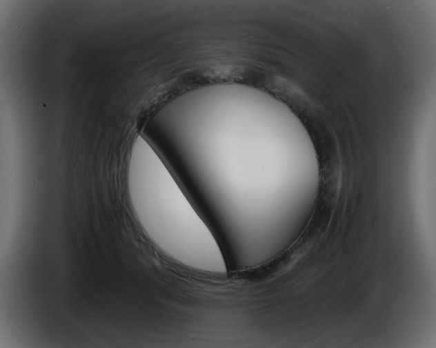 X0000086910416200704161013