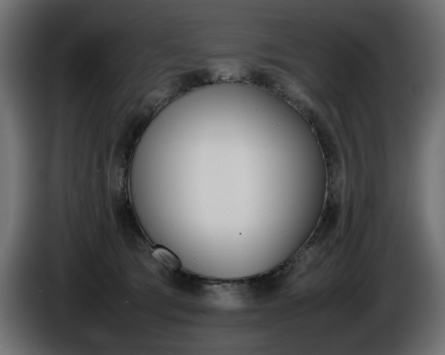 X0000086910417200704161013