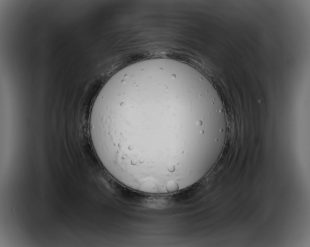 X0000086910418200704161013