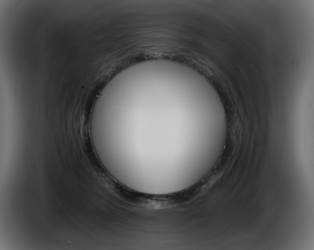 X0000086910420200704161013