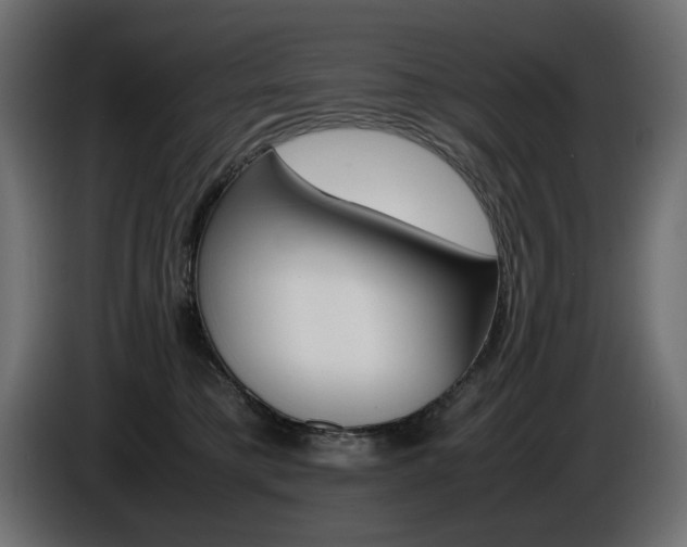 X0000086910421200704161013