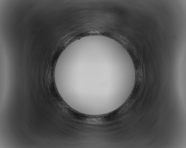 X0000086910422200704161013