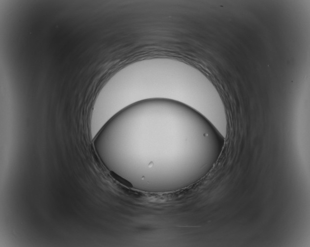 X0000086910423200704161013
