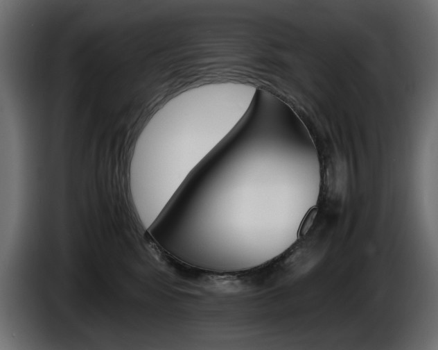 X0000086910424200704161013