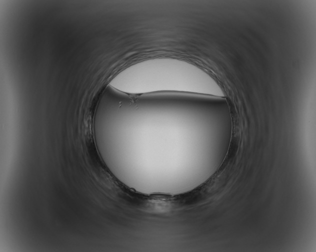 X0000086910425200704161013