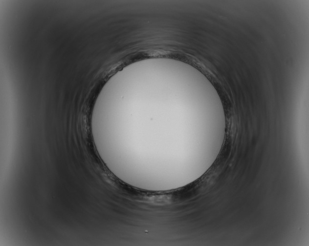 X0000086910426200704161013