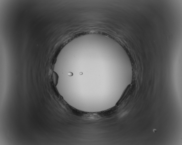 X0000086910427200704161013