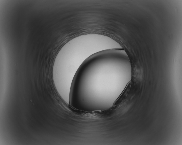 X0000086910428200704161013
