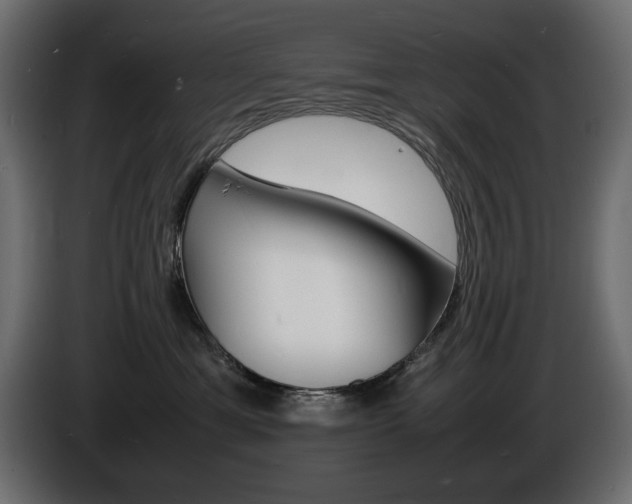 X0000086910429200704161013