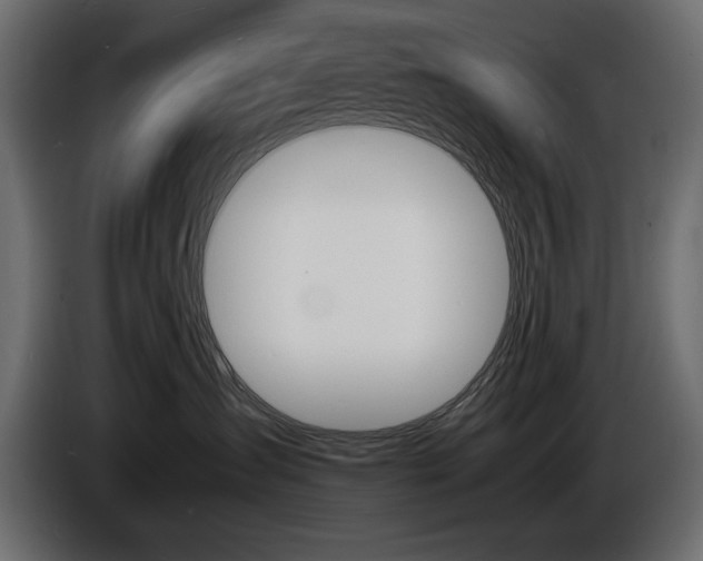 X0000086910431200704161013