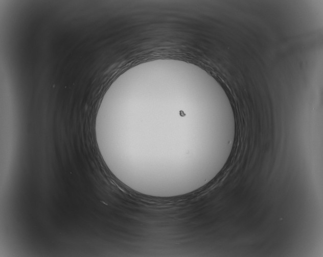 X0000086910432200704161013