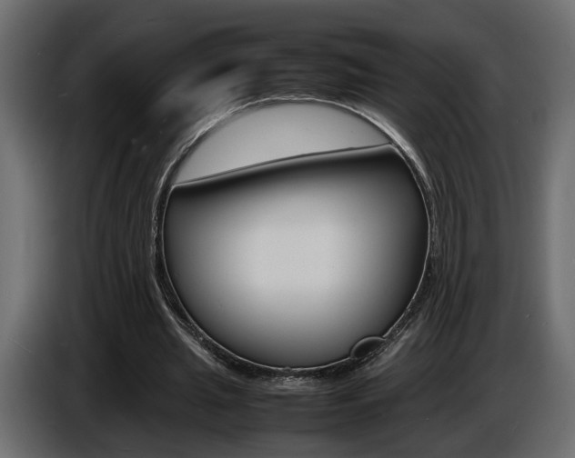 X0000086910437200704161012