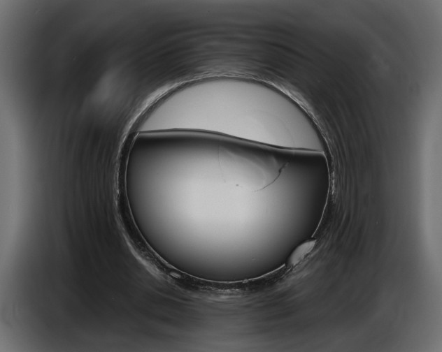 X0000086910438200704161012
