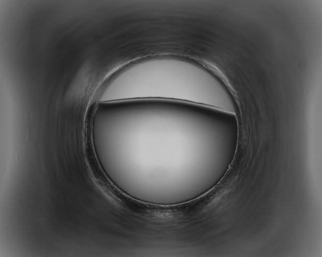 X0000086910439200704161012