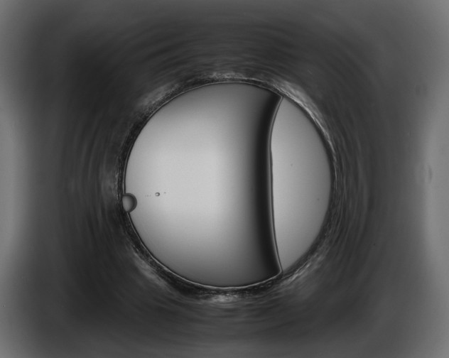 X0000086910441200704161012