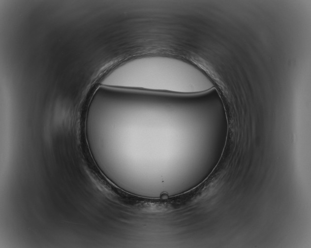 X0000086910442200704161012