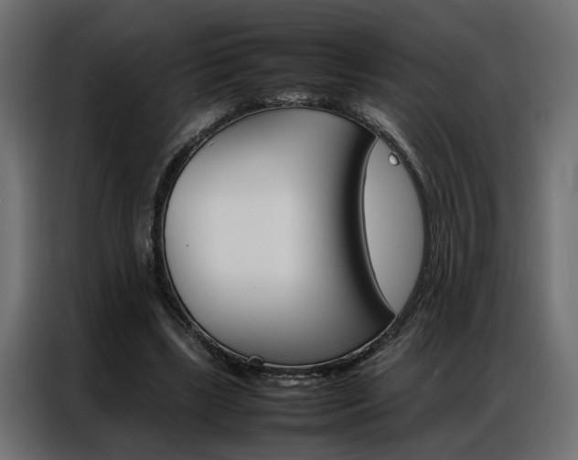 X0000086910443200704161012