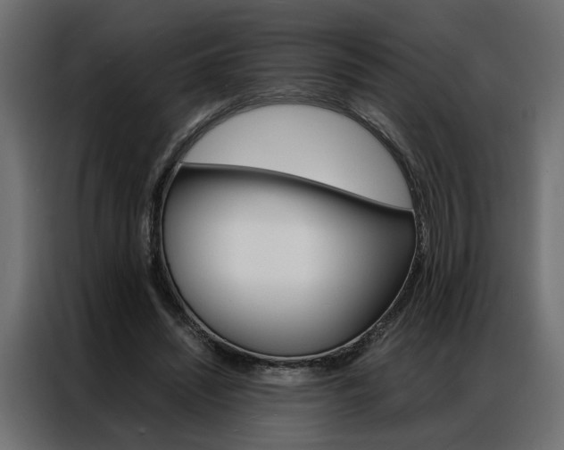 X0000086910444200704161013