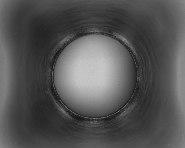 X0000086910445200704161013