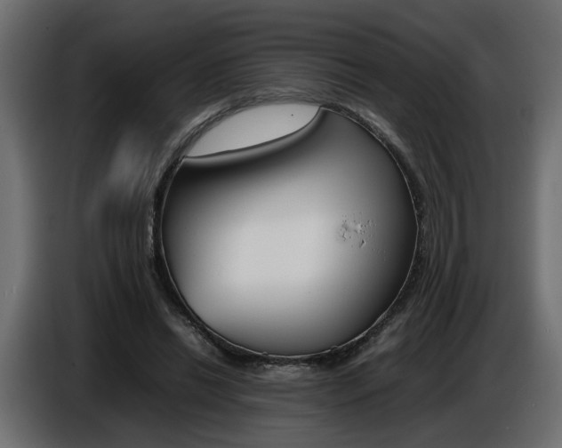X0000086910446200704161013
