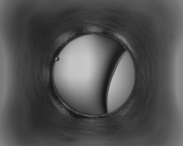 X0000086910447200704161013