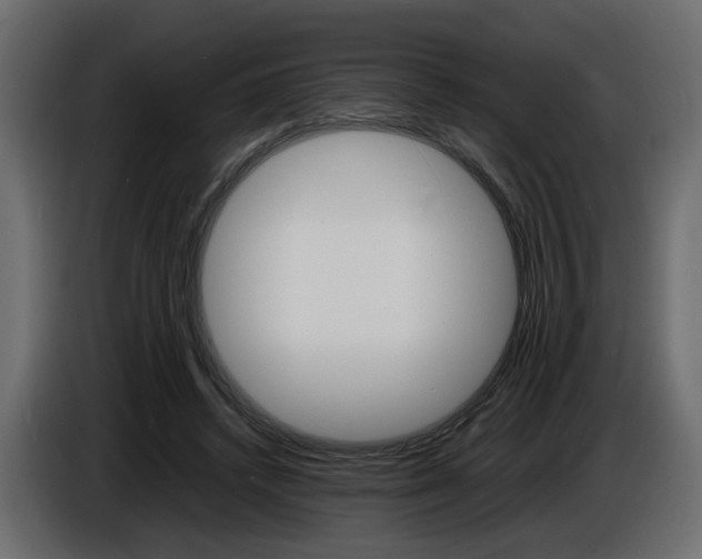 X0000086910448200704161013