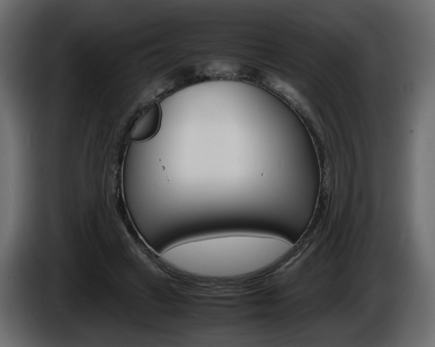 X0000086910449200704161013