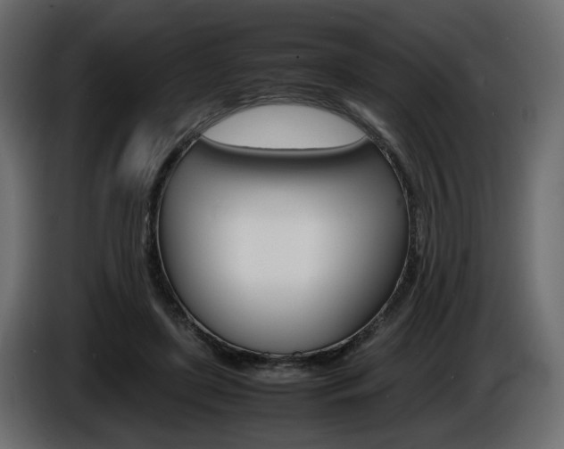 X0000086910451200704161013