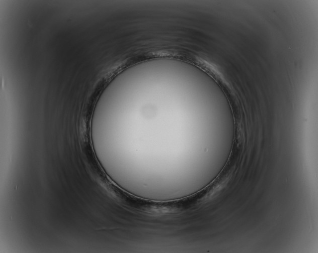 X0000086910453200704161013