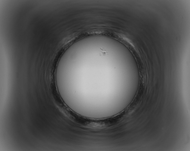 X0000086910455200704161013