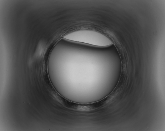 X0000086910457200704161013