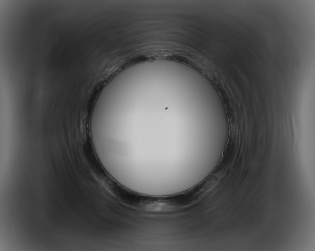 X0000086910460200704161013