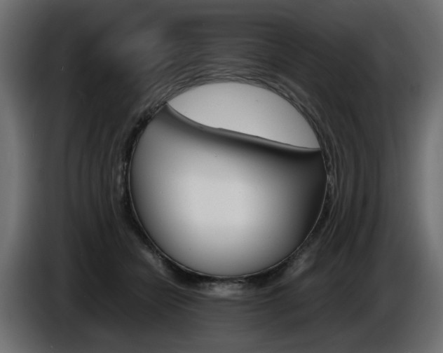 X0000086910462200704161013