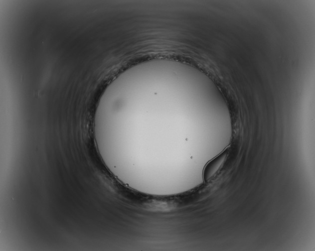 X0000086910464200704161013