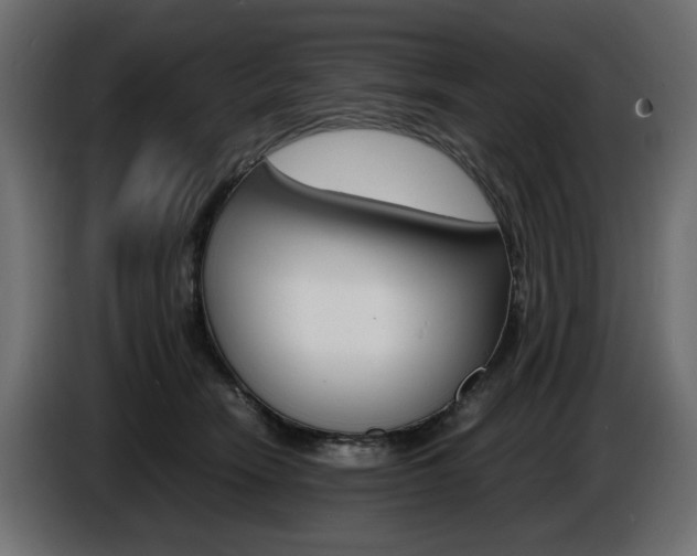 X0000086910466200704161013
