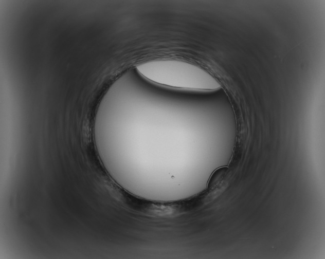 X0000086910469200704161013