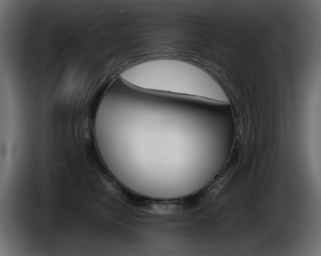 X0000086910470200704161013