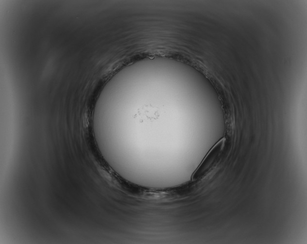 X0000086910472200704161013