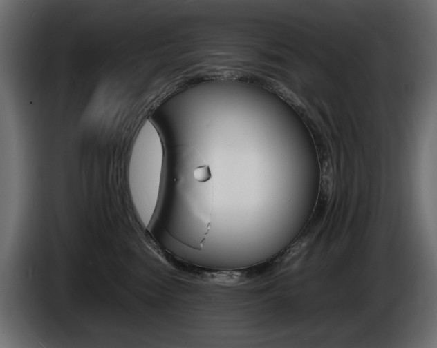 X0000086910474200704161013