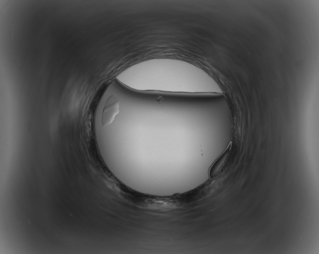 X0000086910475200704161013