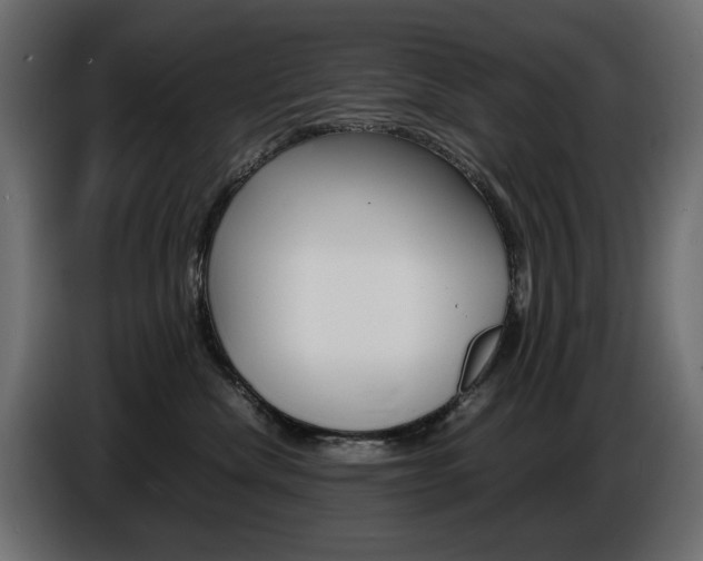 X0000086910476200704161013