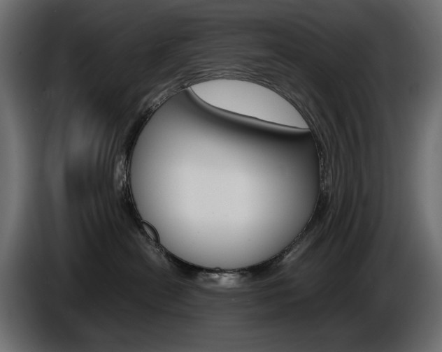 X0000086910478200704161013
